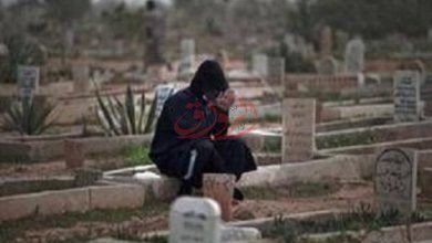 قبر_ارشيفية