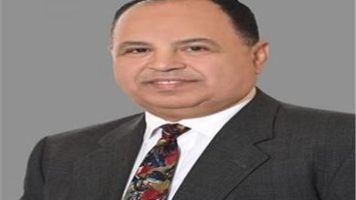 وزير المالية