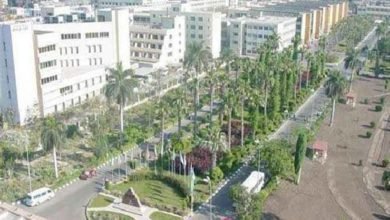 جامعة المنصورة