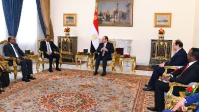الرئيس السيسي يستقبل "حميدتى"