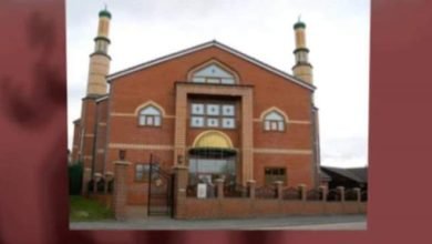 المنظمة العالمية