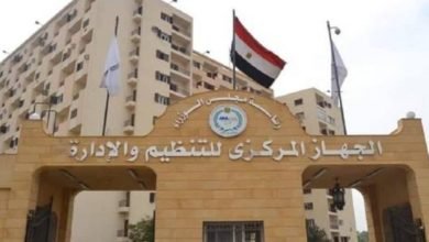 التنظيم والادارة