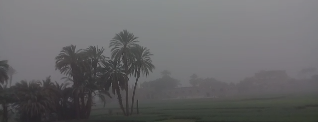 رعد ومطر في محافظات وجه قبلي