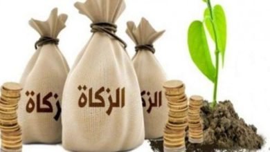زكاة الفطر