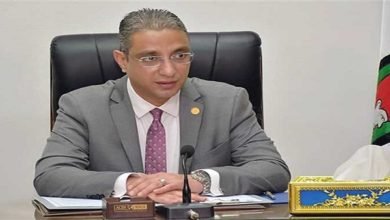 محافظ الفيوم