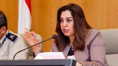 محافظ دمياط