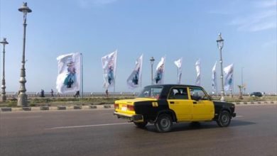 كورونا في الإسكندرية