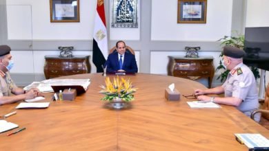 السيسي