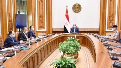 السيسي