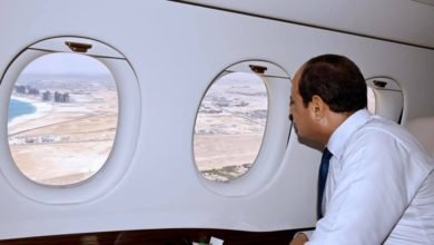 الرئيس عبدالفتاح السيسي