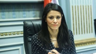 وزيرة التعاون الدولي