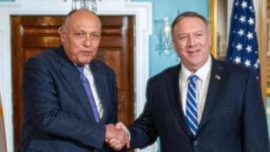 وزير الخارجية المصري