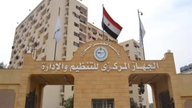 التنظيم والإدارة
