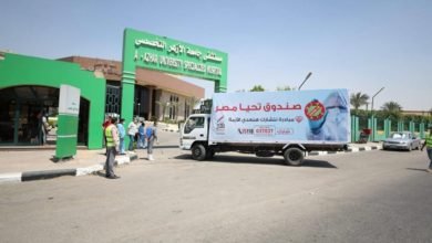 تحيا مصر
