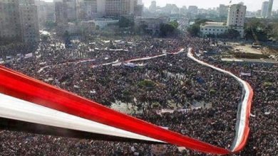 ثورة 30 يونيو