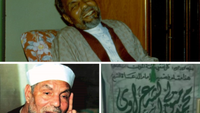 الشيخ الشعراوي