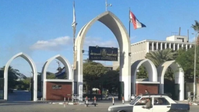 جامعة أسيوط