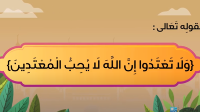 دار الإفتاء
