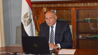 وزير الخارجية سامح شكري