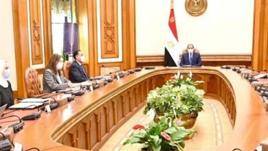السيسي