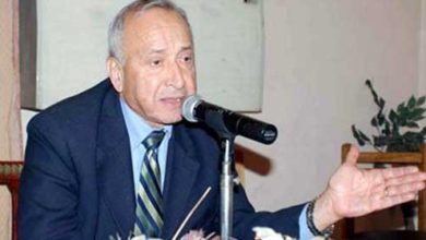 مصطفى السعيد وزير الاقتصاد الأسبق