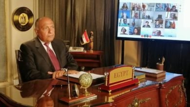 وزير الخارجية، سامح شكري