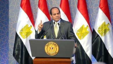 الرئيس عبدالفتاح السيسي