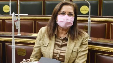 وزيرة التخطيط