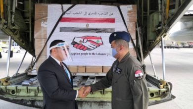 وصول أول طائرة مصر لبيروت