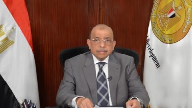 وزير التنمية المحلية