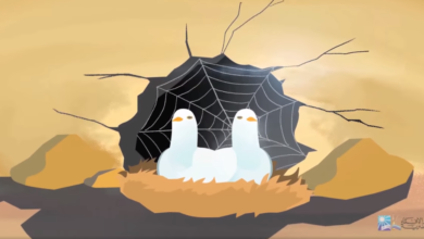 دار الإفتاء المصرية