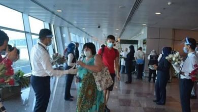 عودة الطيران