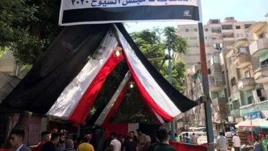 انتخابات مجلس الشيوخ 2020