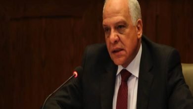 محافظ الجيزة