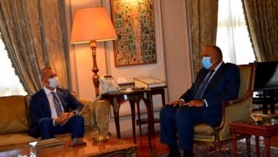 وزير الخارجية