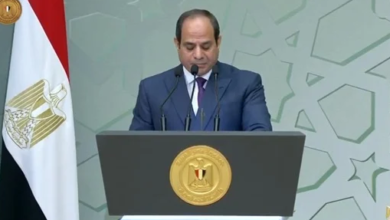 السيسي