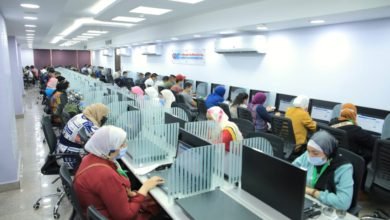 التنظيم والإدارة