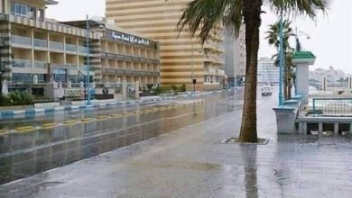 مطروح-أرشيفية