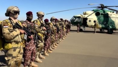 القوات المصرية السودانية