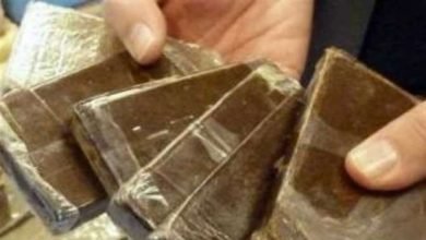 مخدر الحشيش