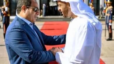 السيسي وآل نهيان