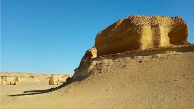 وادي الحيتان