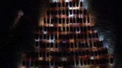 شجرة عيد الميلاد