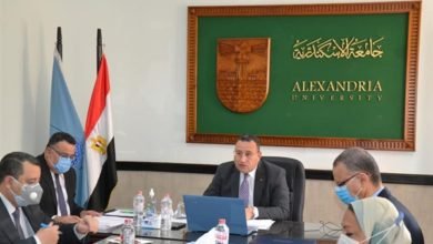 جامعة الإسكندرية