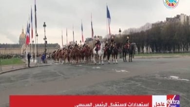 استقبال الرئيس السيسي