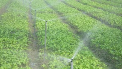 عجز في مياه الري