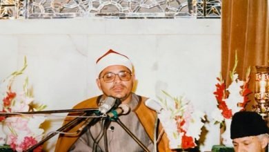 الشحات محمد أنور