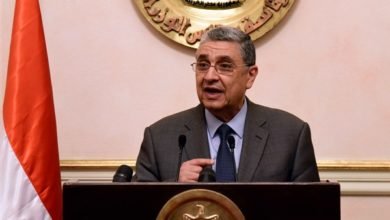 وزير الكهرباء-أرشيفية