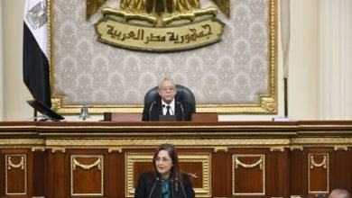 وزيرة التخطيط