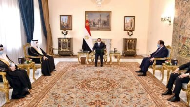 الرئيس السيسي